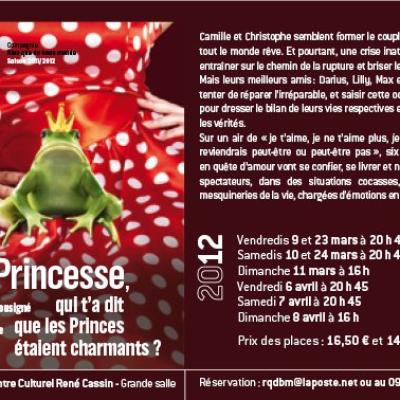 Flyer Princesse